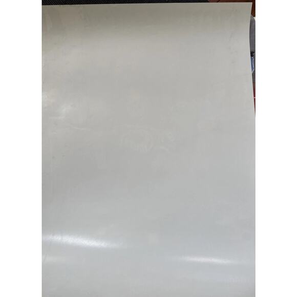 VTG UHL Missouri River Otters Defunct Circa 2001-2002 Fight Club Poster Boxing - Picture 7 of 7